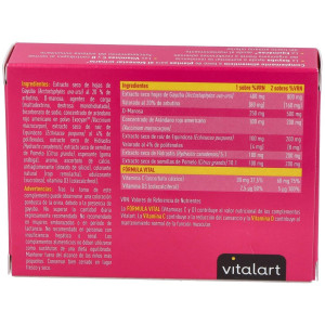Vitalart Vitalart Bienestar Urinario 10 Sobres