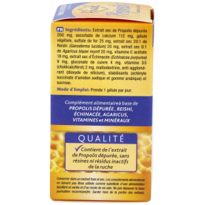 Tongil Apicol Própolis 40Caps