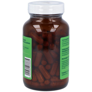 El Granero Cúrcuma + Pimienta Plus Bio 120Caps