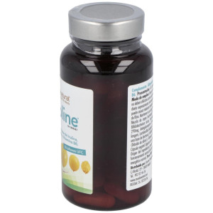 Simbioline Megaflora (Vientre Plano) 60Cap.