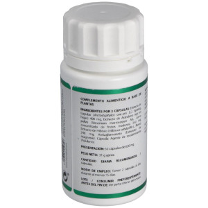 Holofit Urinfect 50Cap.