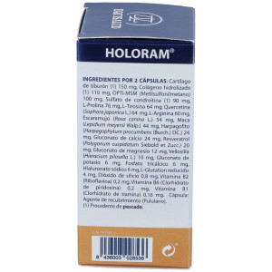 Holoram Artigen 60Cap.