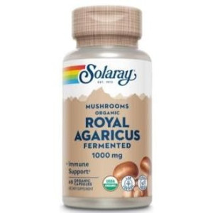 Royal Agaricus Champiñon...