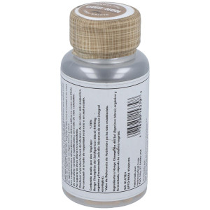 Royal Agaricus Champiñon Del Sol 500Mg. 60Cap.Veg