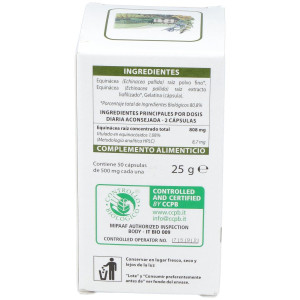 Aboca Fitoconcentrado Equinacea 500Mg 50Cápsulas