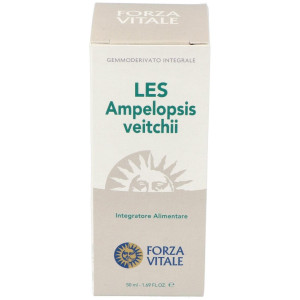 Les Ampelopsis W. Vid...