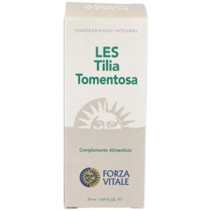 Les Tilia Tormentosa Tilo...