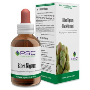 Psc Ribes Nigrum 15Ml.