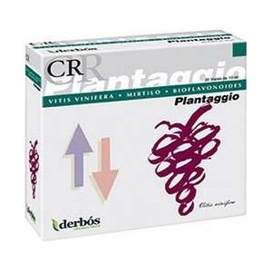 Derbós Plantaggio Cr 20...