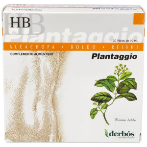 Derbos Plantaggio Hb 20...