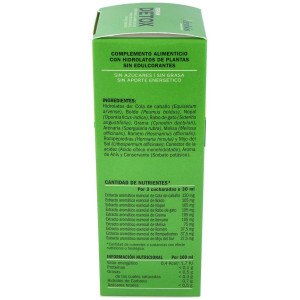 Derbos Depsan Detox 500Ml