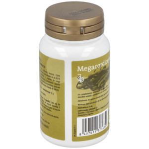 Megacordiceps C (Oruga Vegetal) 60Cap.