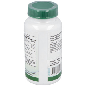 Vbyotics Mega Silymarin 240 Y Glutation 100Caps