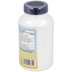 Vbyotics Magmax Magnesio Citrato 500Mg 100Caps