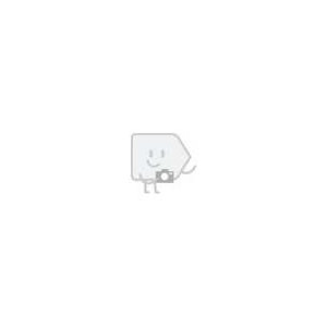 Pranarôm Aceite Esencial...