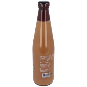 Plantis Zumo Mangostan Concentrado Eco 200Ml