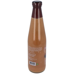 Plantis Zumo Mangostan Concentrado Eco 200Ml