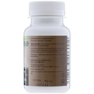 Sotya Reishi 500Mg 90Cáps