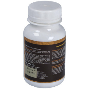 Ginko Biloba 700 Mg Sotya 100 Comprimidos