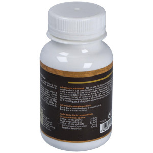 Ginko Biloba 700 Mg Sotya 100 Comprimidos