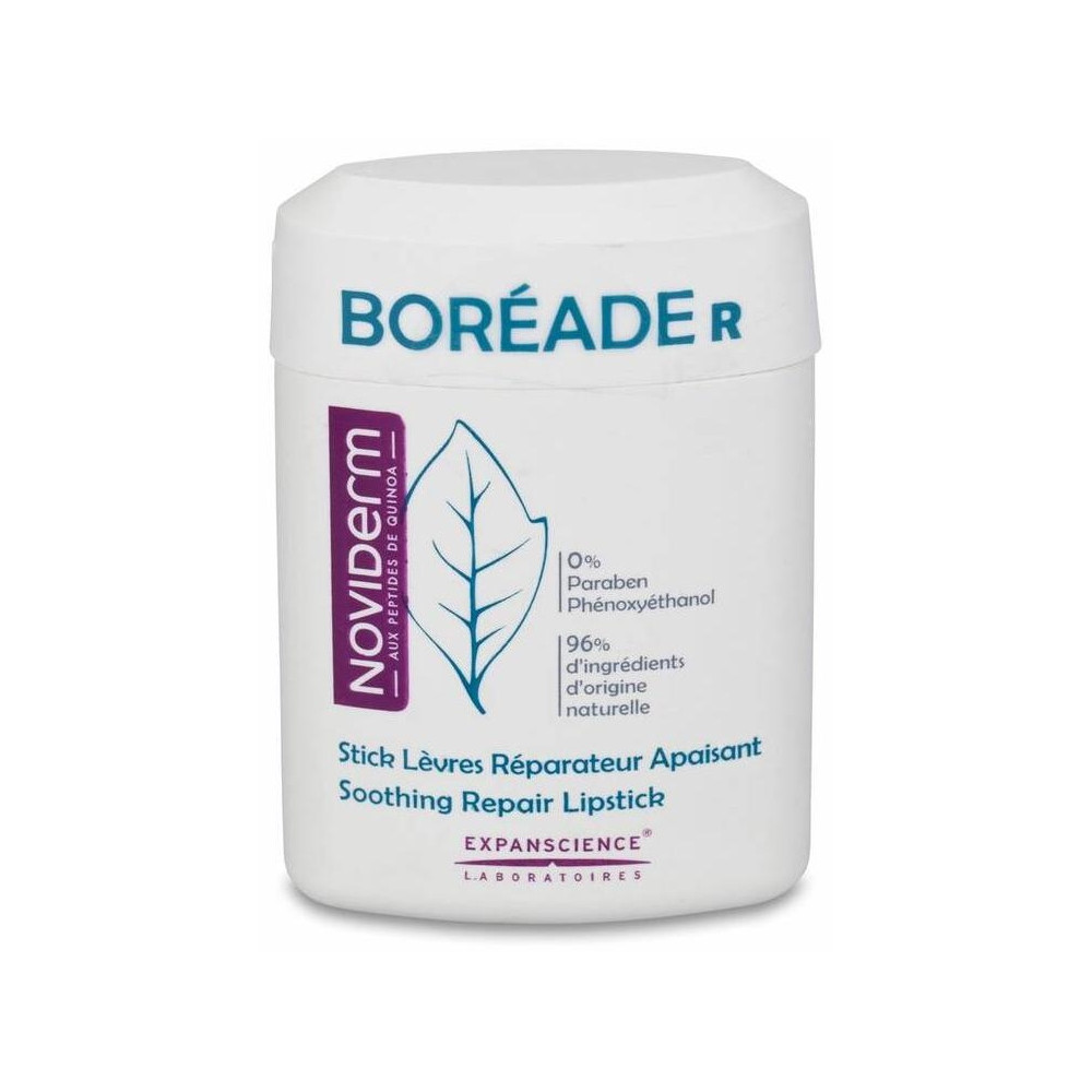 Boréade R Stick Reparador, 11 Ml