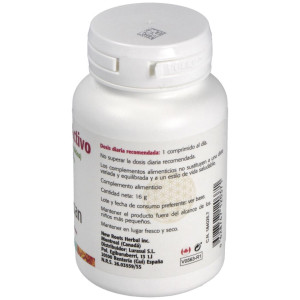 Sura Vitasan Ácido Fólico Activo 60Caps