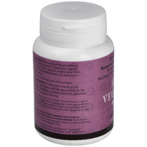 Feu Vegetal Digestion 90Cap.