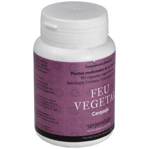 Feu Vegetal Digestion 90Cap.