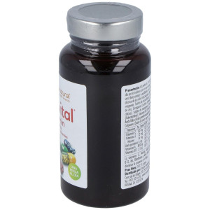 Mundo Natural Enervital Multivitam 60Caps