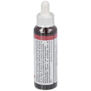 White Chestnut 20Ml.