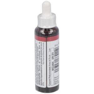 White Chestnut 20Ml.