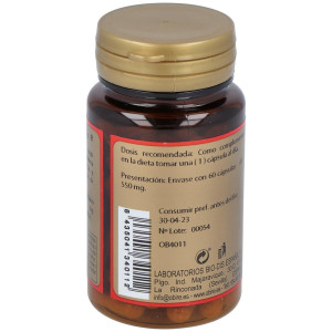 Arandano 1000Mg 60 Caps.