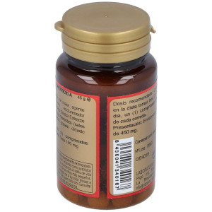 Obire Ginkgo Biloba 500Mg 100Comp