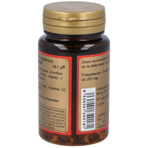 Obire Vitamina D3 4000Ui 100Caps