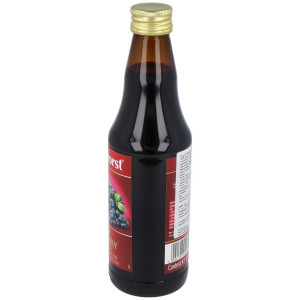 Rabenhorst Zumo Arándano Azul Silvestre 330Ml