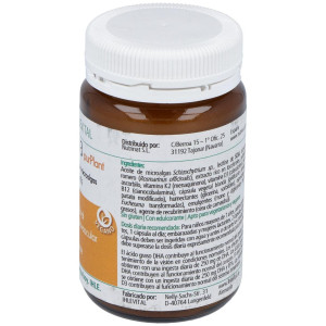 Omega 3 Purplant 60Cap.