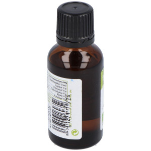 Menta Piperita Aceite Esencial Bio 30Ml. 2