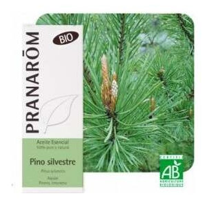 Pino Silvestre Aceite...