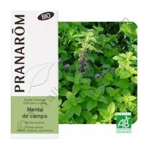 Menta Campo Aceite Esencial...