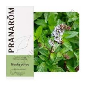 Menta Poleo Aceite Esencial...