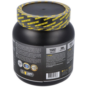 L-Glutamina 300Gr. Gn