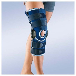 Pilze Wolhrab Shiitake Bio...