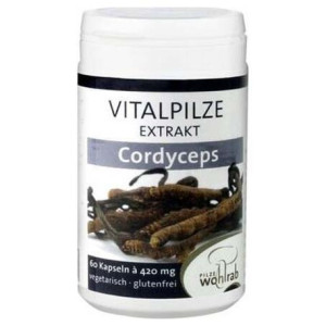 Pilze Wolhrab Cordyceps 60Caps