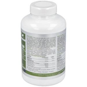 Airbiotic Collbiotic Ab 1.000 Mg 90 Cápsulas