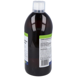 Besibz Densiort Ácido Ortosilicico + Magnésio 1L