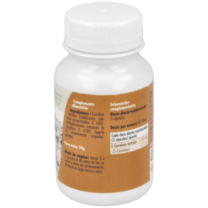 L-Carnitina 500Mg Caps. 90U