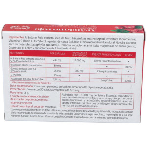 Arandano Rojo (Ext Seco 120 Proantocianidas) 30Cap