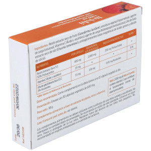 Nature Essential Reishi 2000 30Caps