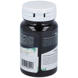 San Probiotic Human Specific Ferment 30Cáps