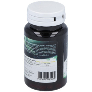 San Probiotic Human Specific Ferment 60Cáps